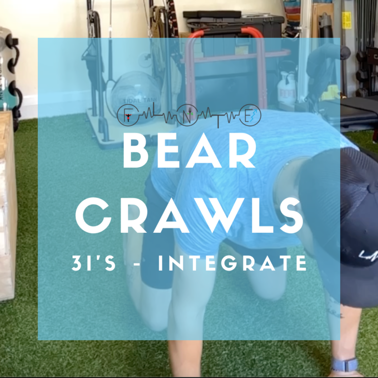 Bear crawl movement