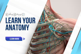 Mastering Your Body: The Importance of Learning Your Anatomy